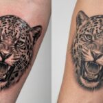 Tatuagem fresca x cicatrizada: por que o resultado muda tanto?